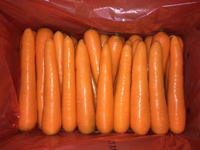 胡萝卜价格行情-供应潍坊市优惠的胡萝卜