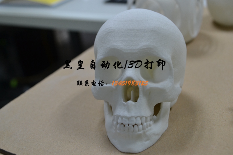 苏州人像扫描|3D打印——黑皇