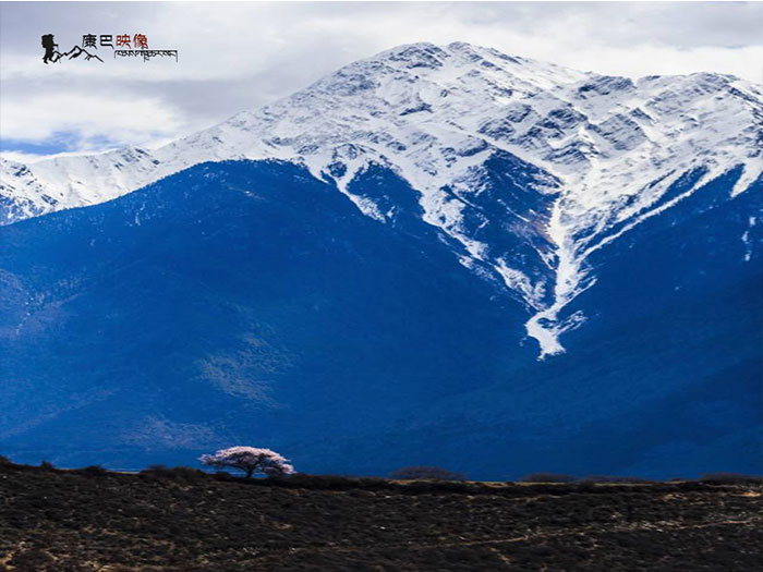 青藏旅游多少钱|上哪找专业的青海川藏线旅游服务 