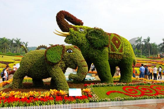 北京花卉园艺造型加工