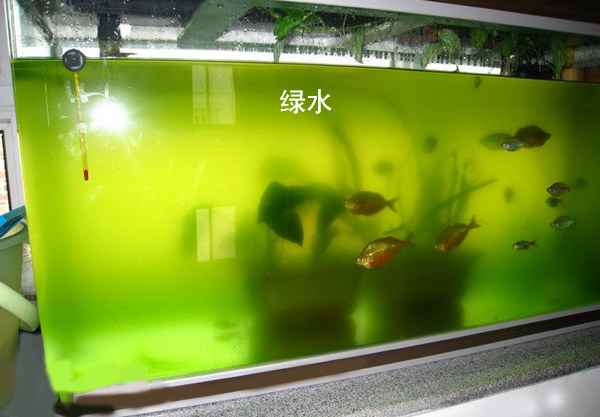 杭州水净化，杭州高品质水净化设备批售