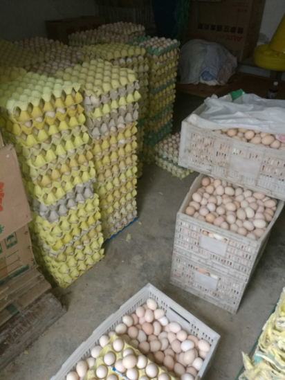 骆氏养殖场供应划算的南宁土鸡蛋，好吃的南宁土鸡蛋