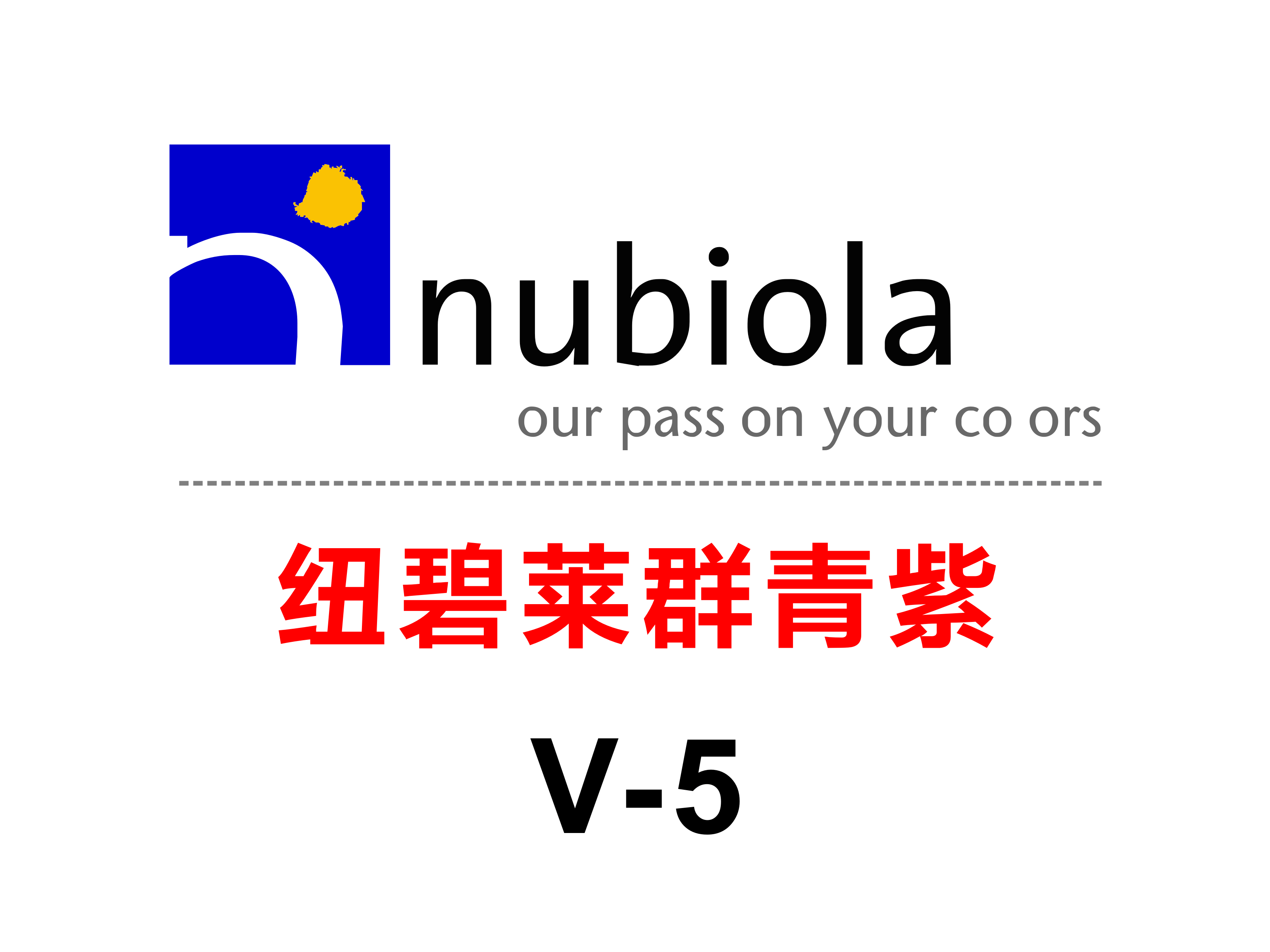 Nubiola纽碧莱群青紫V-5