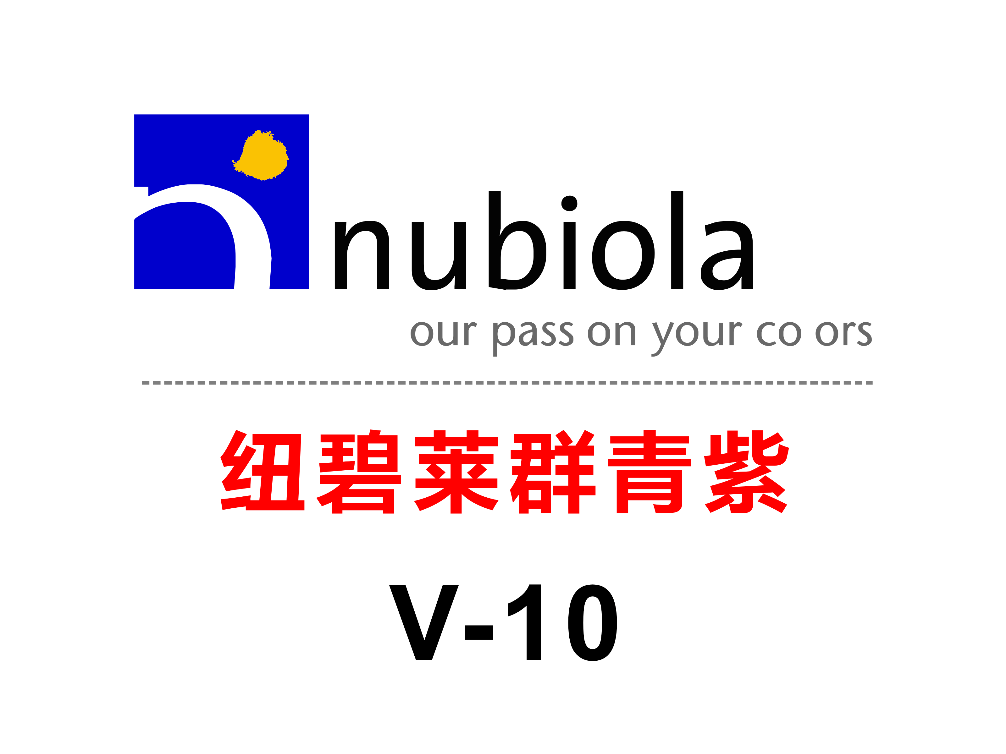 Nubiola纽碧莱群青紫V-10