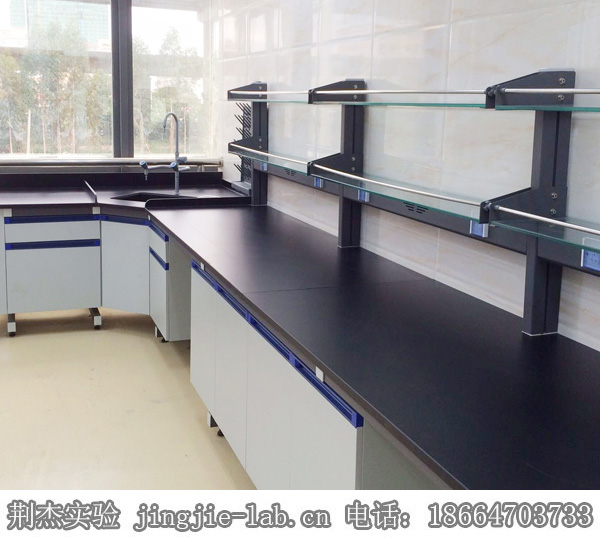 广东实验室装修设计/实验室家具生产/实验仪器台价格