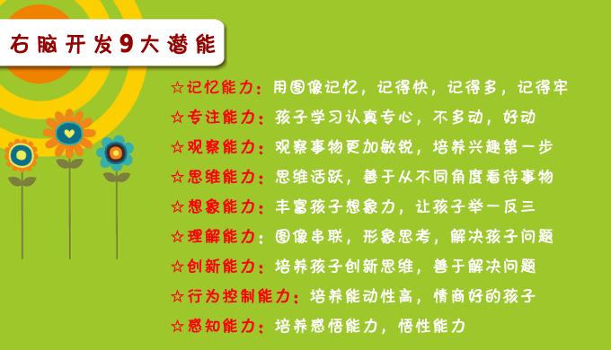 赤峰专业的赤峰儿童智慧开发，你值得信赖 优质的全脑开发