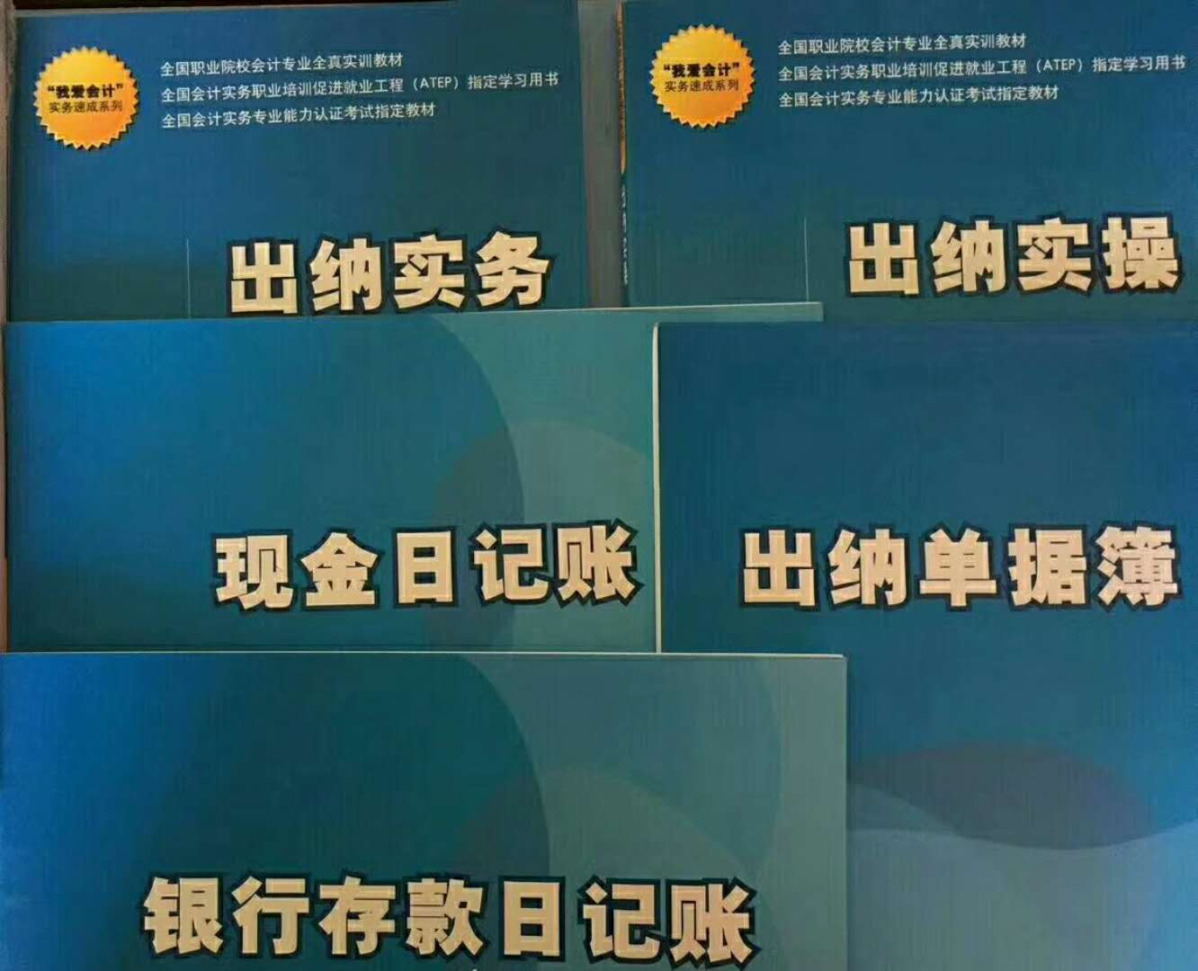 一对一辅导10天速成手把手教你做行业真账