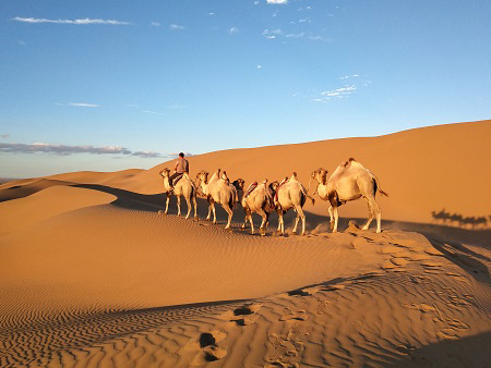 呼和浩特巴丹吉林沙漠多少钱-阿拉善盟内蒙古沙漠旅游费用咨询