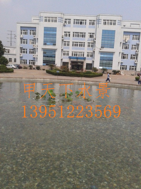 南京市锦鲤鱼池水专业处理。详询13951223569.