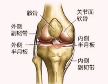 半月板损伤术后康复