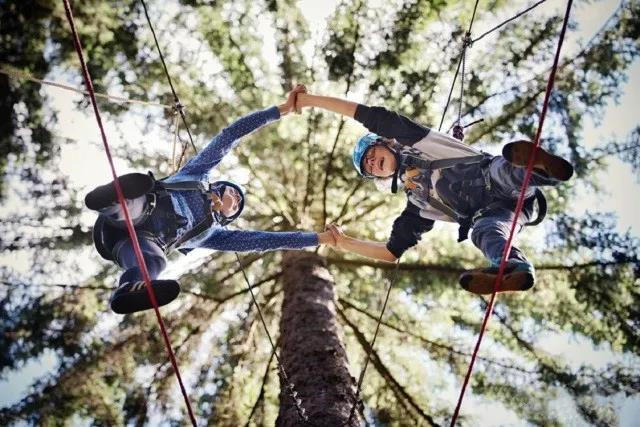 三门峡主题乐园，郑州哪里有供应品质好的丛林拓展游乐设备