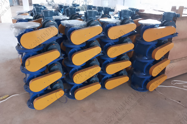 ����˫���θ��ϻ��ļҺ�