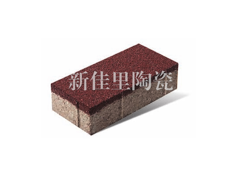 简单才实用陶瓷透水砖-广东新款100|200mm陶瓷透水砖批销